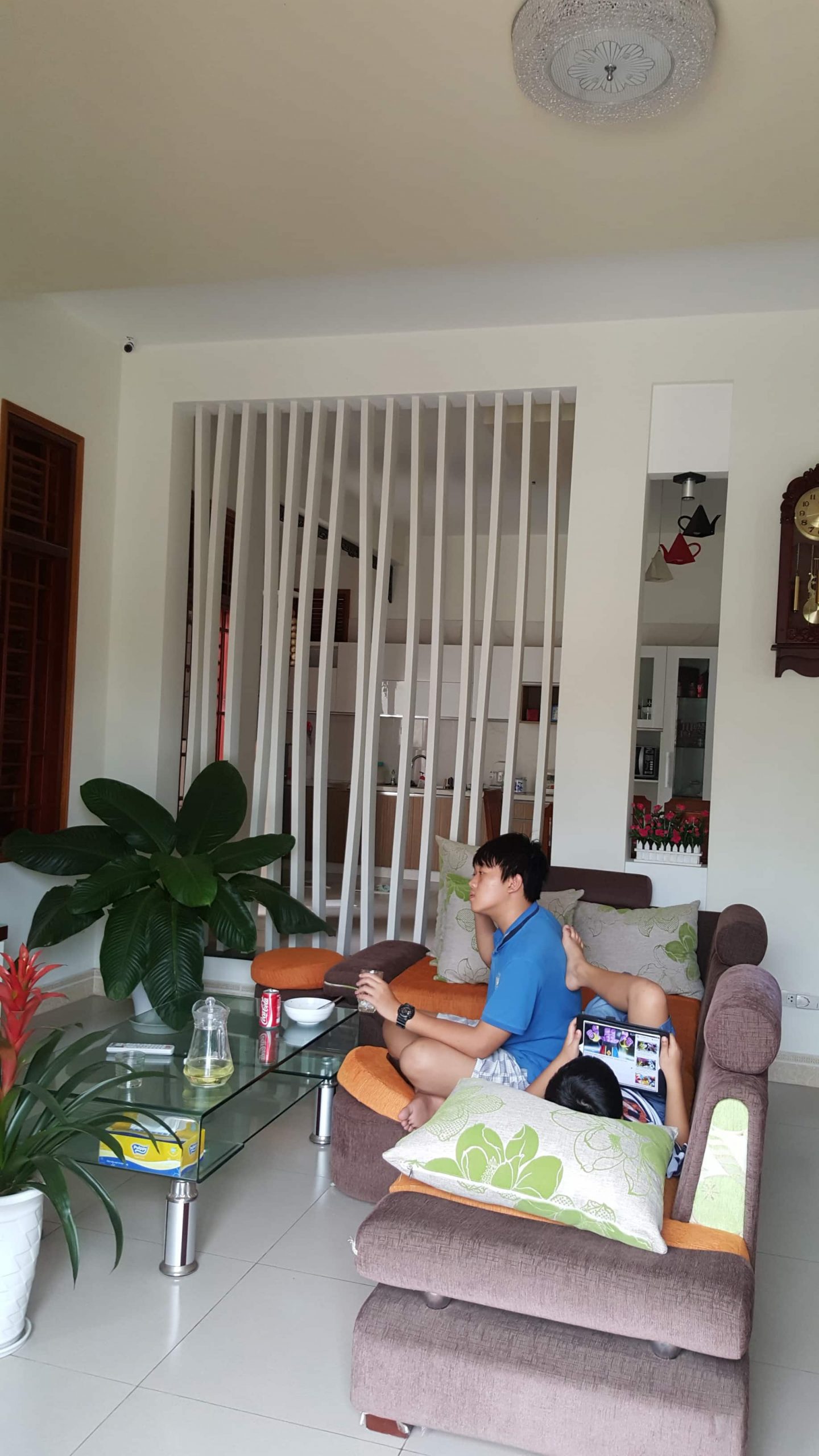 13vach ngan hoa van cau thang