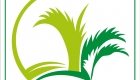 logo-cẩm-thanh